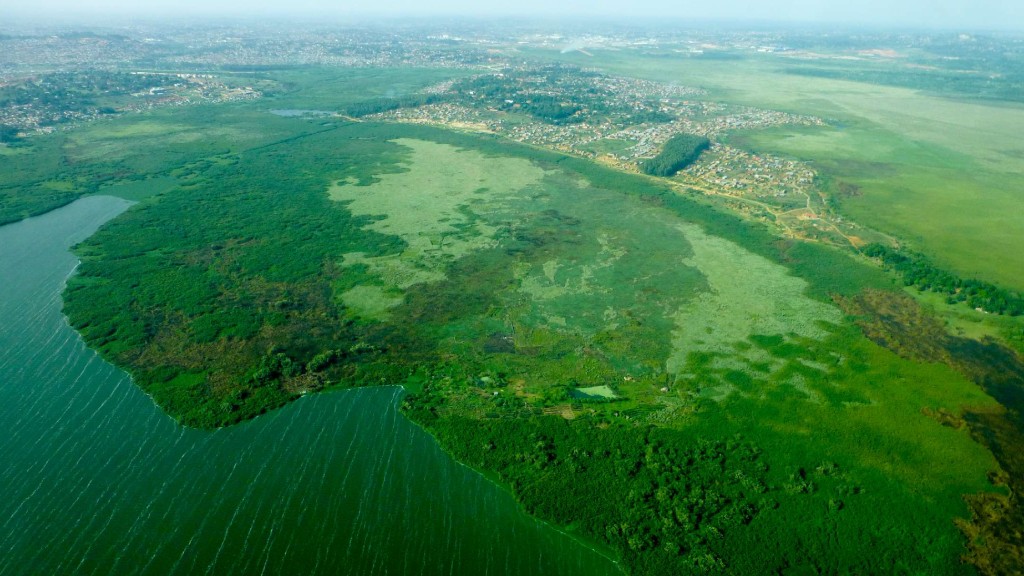 DEVELOPMENT OF NEW KAMPALA PORT AT BUKASA SWAMP REMOVAL AND RECLAMATION WORKS